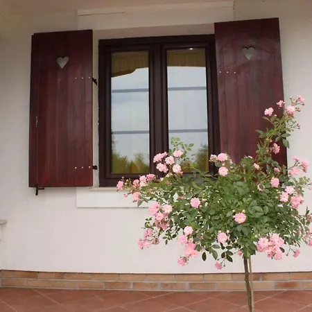 - Balaton 20231 別荘 Nagyvázsony